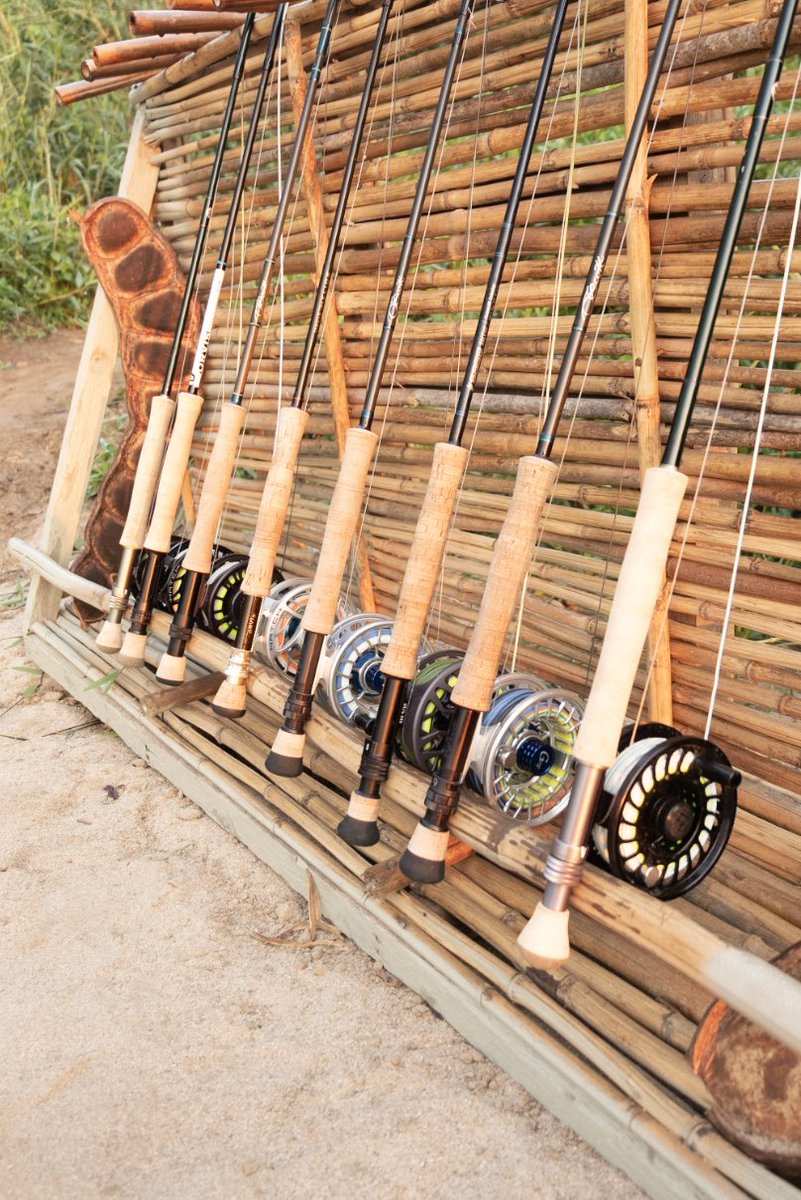 If you're looking to put your gear to the test, tigerfish in Tanzania are certainly a fish that come ready for a fight.

Contact us to learn more about this destination.

#flyfishing #flyfish #theflyshop #flyfishingtravel
