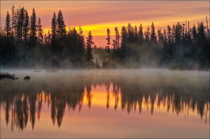 ℍ𝕒𝕟𝕤 𝔾ü𝕟𝕤𝕔𝕙𝕖 tweet media