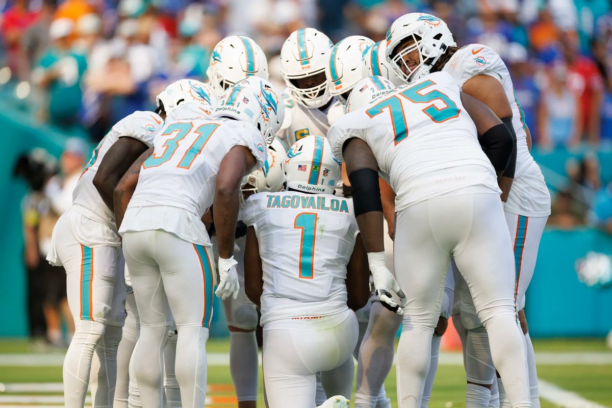 Dolphin Nation tweet media