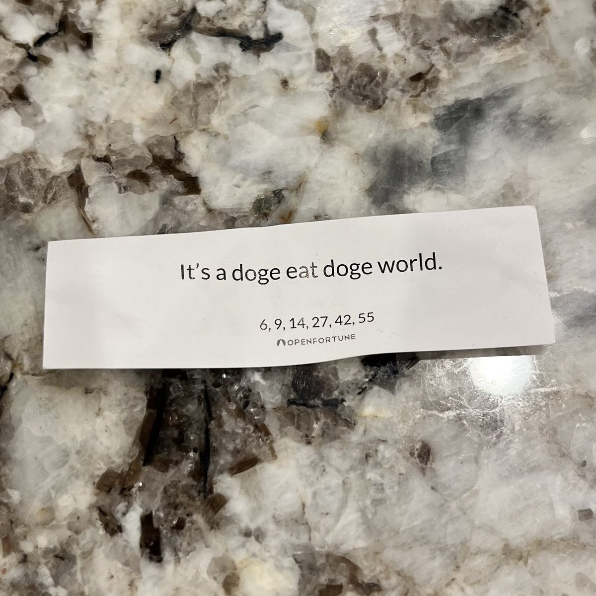 lanyxsf's tweet photo. #openfortune #ftx #doge 😆 https://t.co/mq1ItLjhma