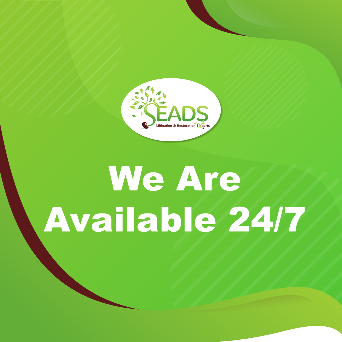 Our fully bonded, licensed, and insured staff is available 24 hours a day, 7 days a week to address your needs promptly. With over 15 years of experience, you can rely on us to deliver exceptional results.

Visit seadsmre.com for more info.

#RelyOnUs #Mitigation