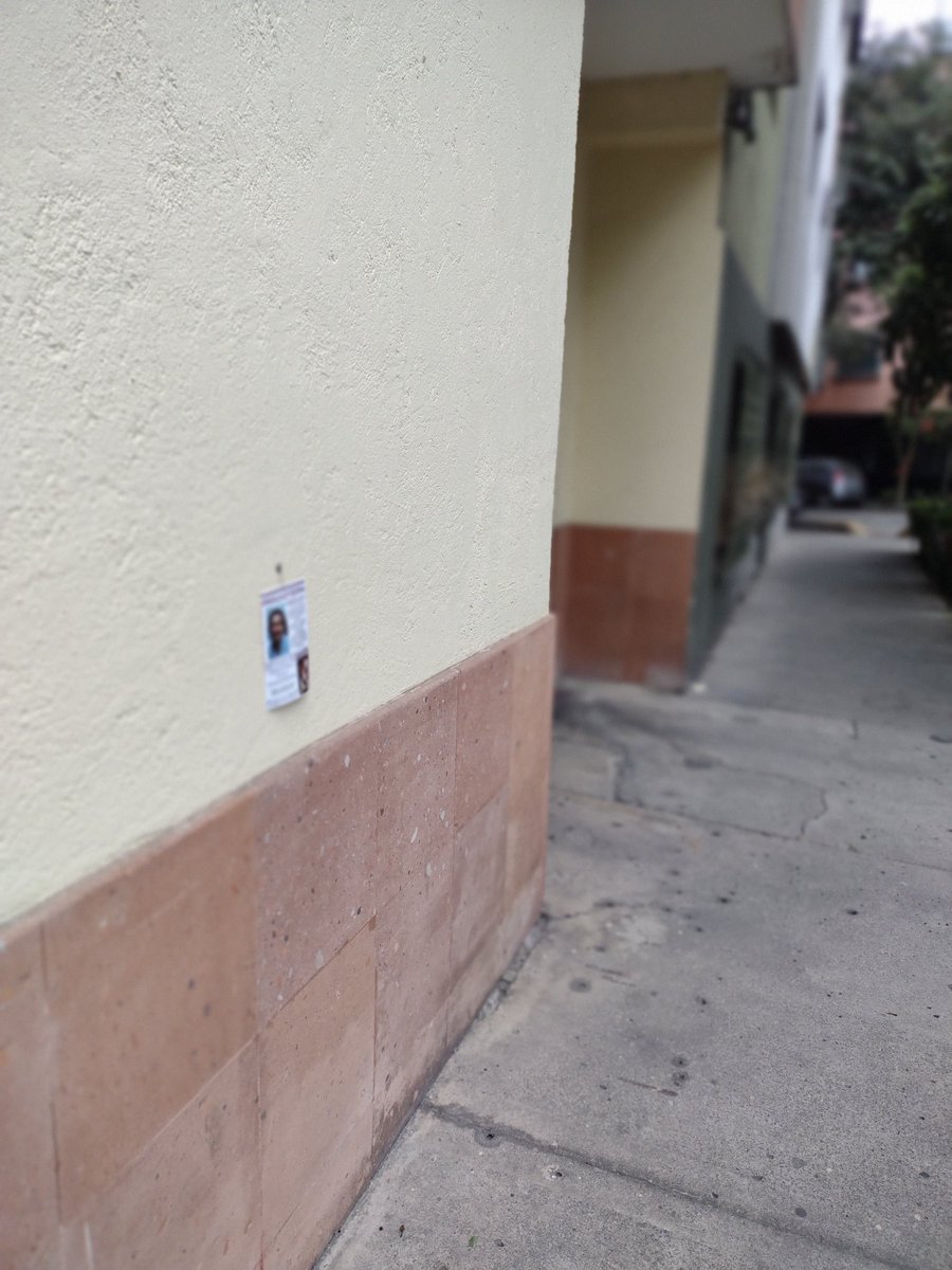 violentamente's tweet photo. Hoy fui al parque de mi colonia (parque Las Américas), me sorprendió ver qué  @IvonneTheresa quien se ostenta cómo verdadera alcaldesa de BJ, acusa a @PartidoMorenaMx de permitir la matanza de perros para santería (sic) en unos volantes que repartía. Que odio, que ignorancia. https://t.co/pwKIW5qzQD