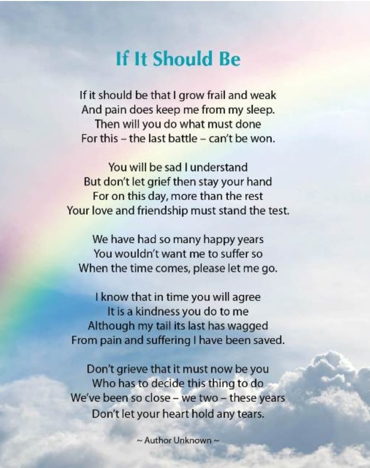 Stephen00848's tweet image. My baby boy, Copper will be sleeping his last sleep tonight here on earth. Tomorrow he shall cross the rainbow bridge and venture into the spirit world. Rest eternally,run free enjoy dog heaven; you're deserving.Momma and Poppa love you furever.
#RainbowBridge #dogheaven
#beagle