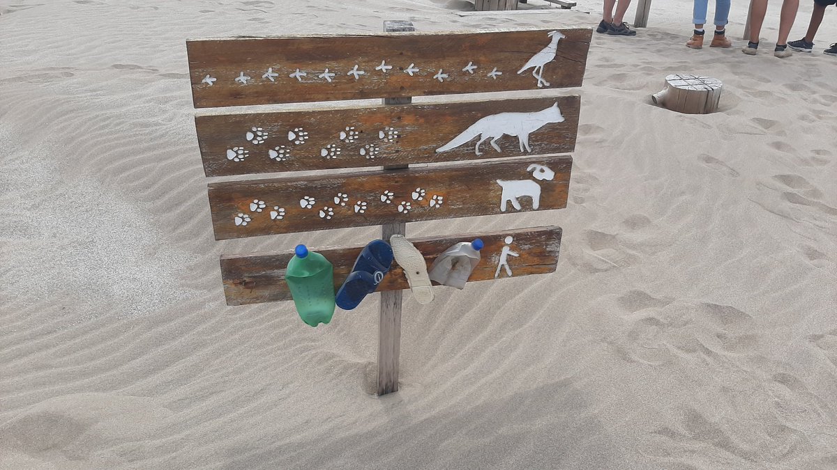 <a href="/DDGALLIANO/">Daniel</a>