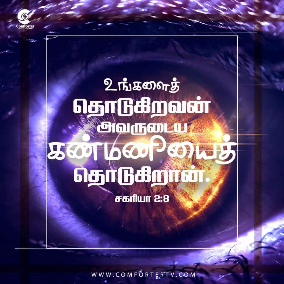 KittyTwitz's tweet photo. #Jan23rd Blessed #Monday 💐
#WorldRevival @elonmusk
#RevivalofIsrael @Israel @IsraeliPM
#RevivalofIndia @narendramodi @AmitShah @RahulGandhi
#RevivalofChennai @arivalayam @Veera284
#RevivalofEngland @RishiSunak @trussliz
#RevivalofItaly @Italy
#RevivalofSriLanka @RW_UNP https://t.co/2MEQuWT7bh