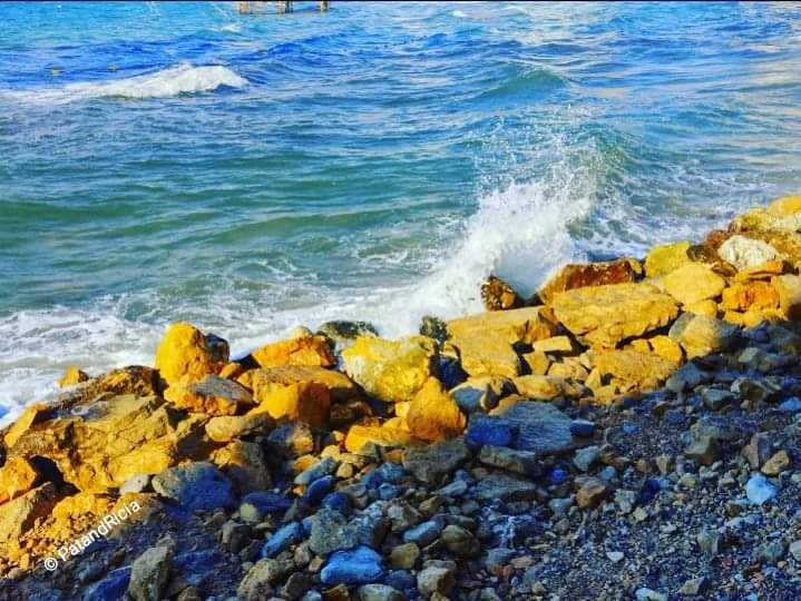 PATandRICIA's tweet photo. Have a good day ❤️
#natureshot #naturelovers #sunrise #adventurelover #healthylifestyle #healthyliving #photographer #artlover #newday #winter #travelphotography #natureblogger #PhotographyIsArt #ArtistOnTwitter #artists #art #photooftheday #beautiful #NatureBeauty #adventure 💚 https://t.co/Ctscvq1OxD