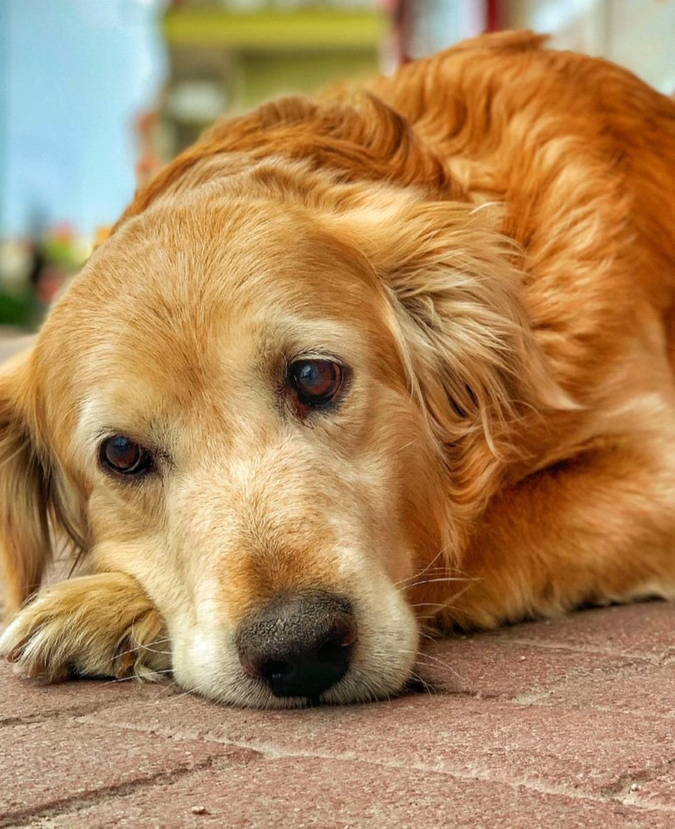 Işıklar içinde uyu meleğim.. 

#kanser #hera #herakanseriyenecek