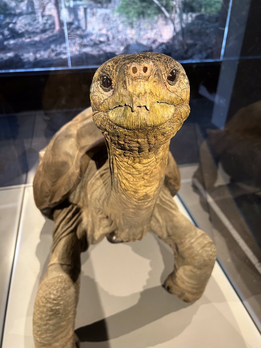 JOHN 😎 tweet media