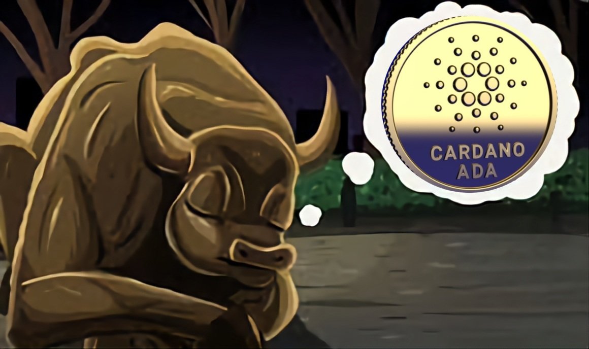 CryptoIRELAND1's tweet image. Retweet if you are #Cardano bullish