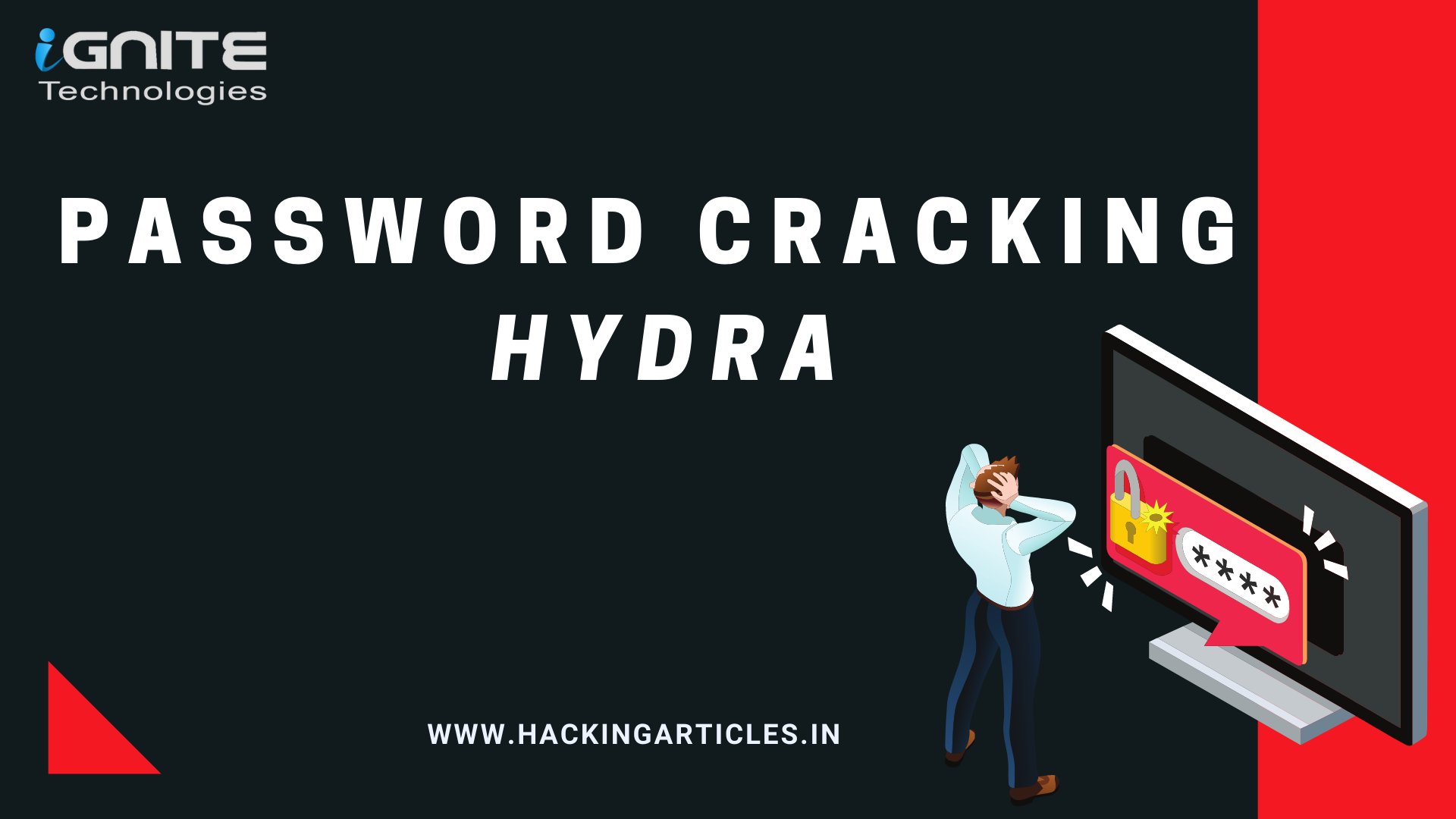 How to use the Hydra password-cracking tool