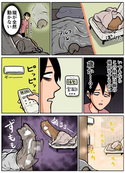 エアコンを起動した飼い主 猫たちの行動に「すごく分かる」「あるある」 https://t.co/IwYaMtZm24 @grapeejpより 