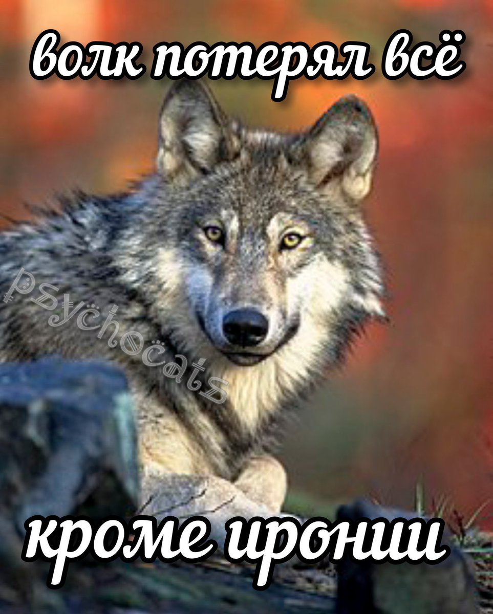 MrPykN's tweet photo. @PutinLoxEbany @own3010 https://t.co/8Qo3W41gXe