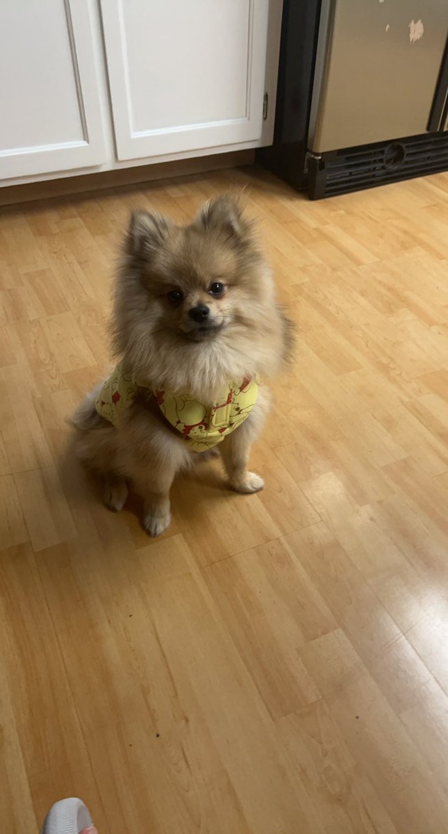 Dennis Bui tweet media