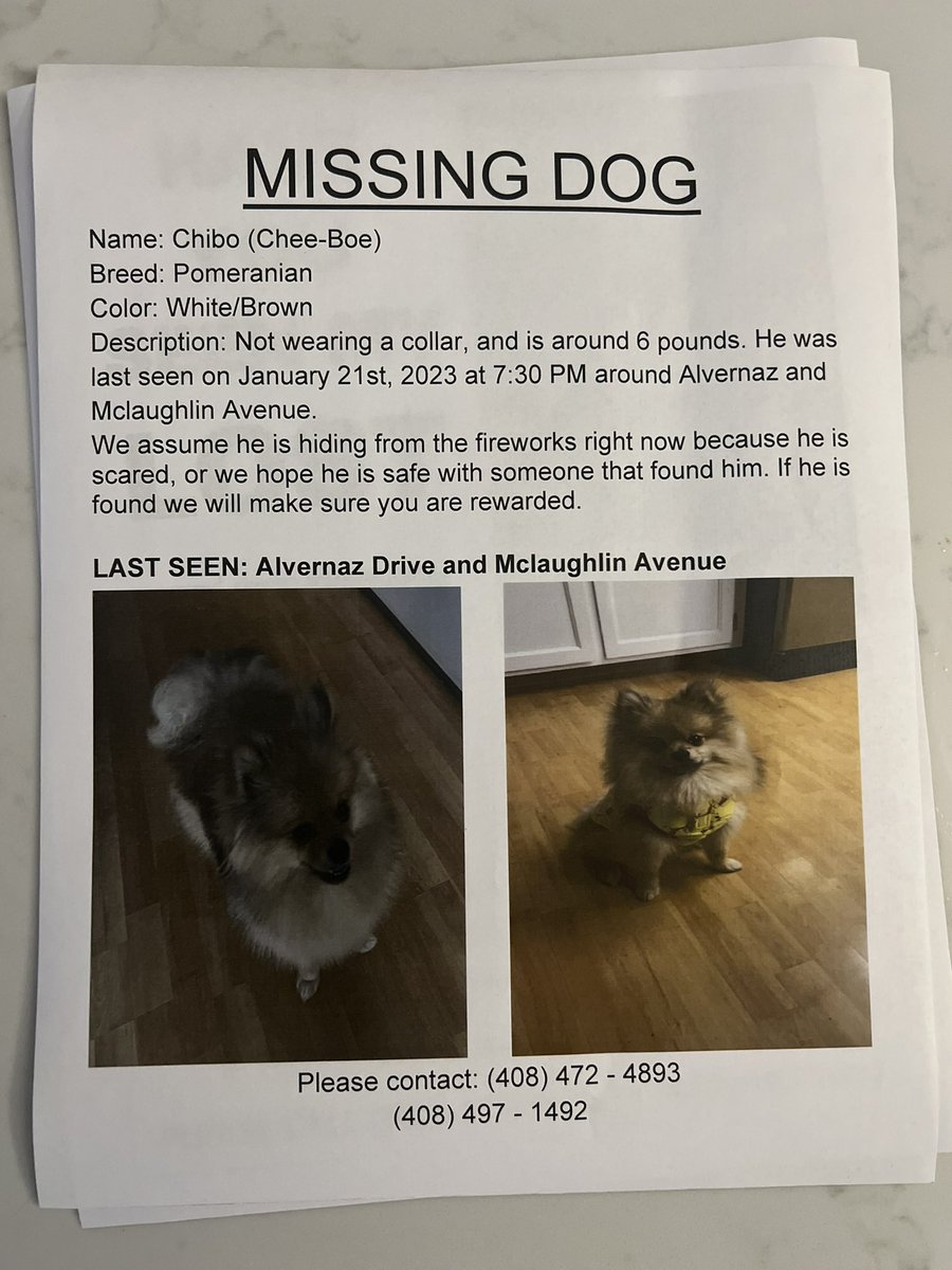 Dennis Bui tweet media