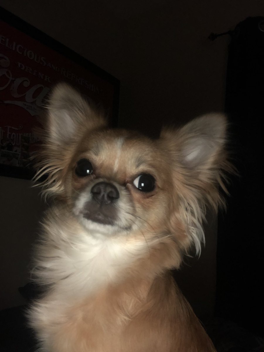 EddieF tweet media