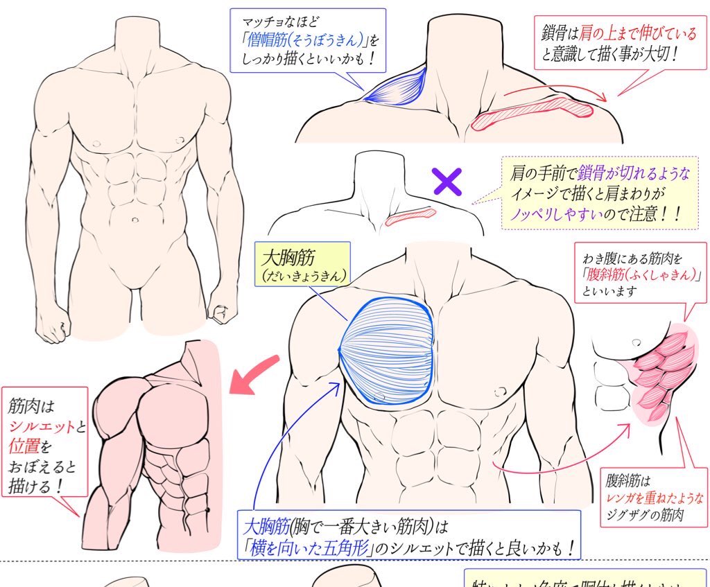 『イラスト勉強って何すれば良いの❓』

って人に【吉村拓也のFANBOX講座】はおすすめ‼️

6年間ずっと作り続けている
【500枚以上のイラスト講座】を全てまとめた図書館みたいなもの📝✨

🔥月額500円で見放題!練習し放題🔥

初心者の方にこそ観てみてね!
【登録はここ👇】
https://t.co/UKiQpTPtxd 
