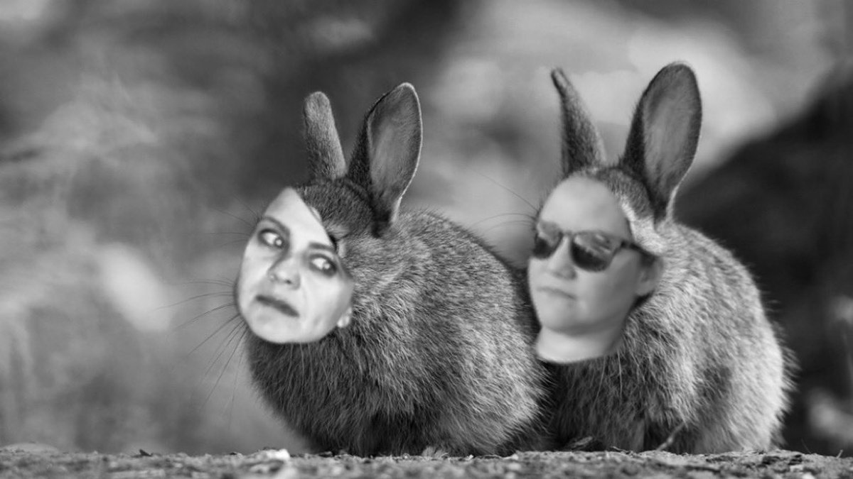 SexWithGhosts_'s tweet photo. Livestream tonight 8pm pst https://t.co/ITpJOf4aXB
@MollieMM9 is drinking Applejack Rabbit and @Bridget_suckit is drinking Carrot Delight https://t.co/vzqW3ZwCib