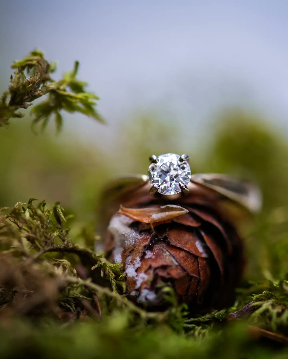PicturedJen's tweet photo. Love ring shots!!
#macrophotography #nature #outside #Macro https://t.co/F6Lk1kcB9k