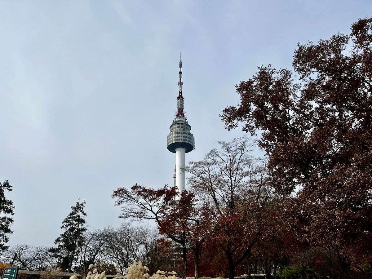 𝚌𝚓𝚘𝚛 tweet media