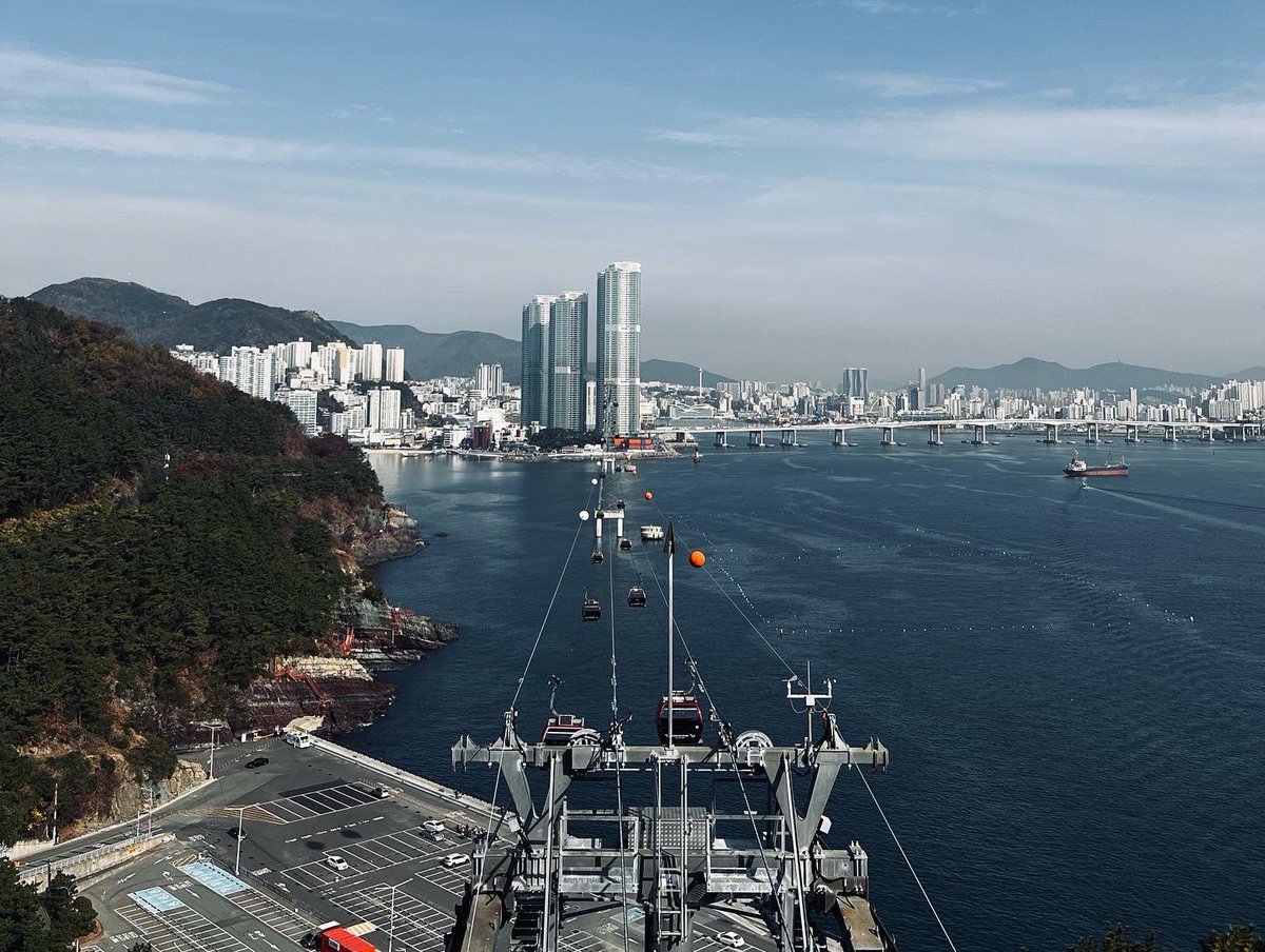 𝚌𝚓𝚘𝚛 tweet media