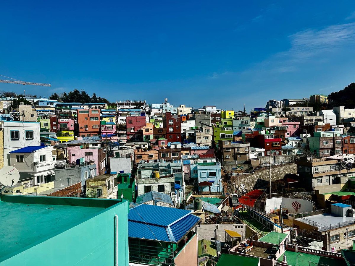 𝚌𝚓𝚘𝚛 tweet media