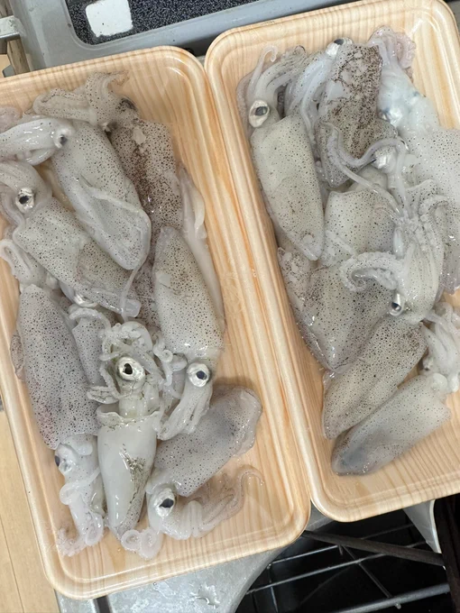 豆イカの下拵えをルンルンで行ったらこのように 