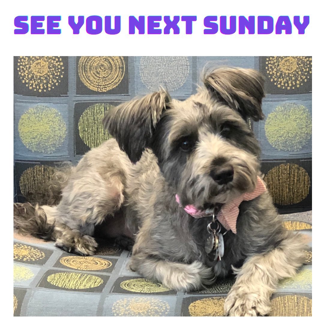 Dr. Andrew Buchheit tweet media