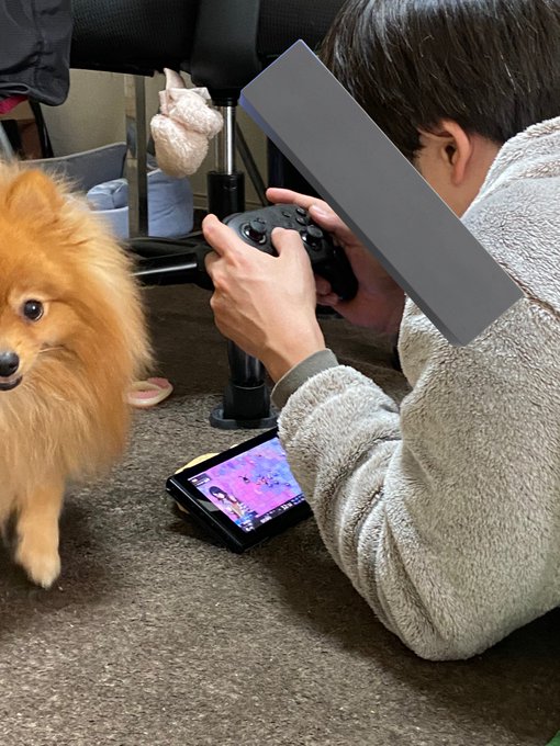 たい焼きのおもちゃをゲーム機の下に置いて角度を付けてるとこうなる#ポメラニアン#ヘモス犬 