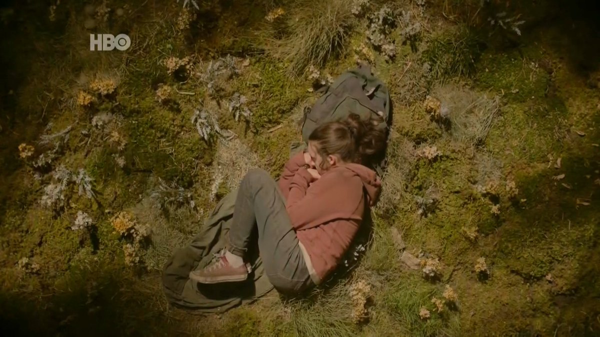 The Last of Us News tweet media