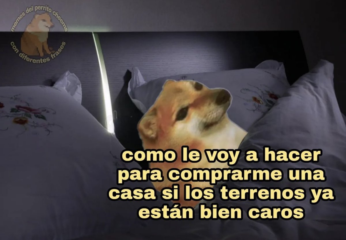 *Hoy si me iré a dormir temprano*

Also yo a las 2am: