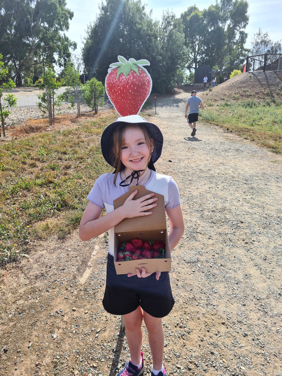 🍓 picking with this excited little one. Think more were eaten in the field than what were actually bought 😉. Delicious
