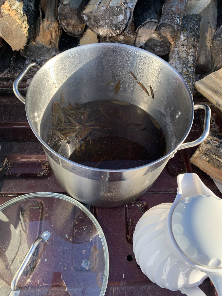 Was a beautiful afternoon for a bon fire, muskeg tea, and some bannock dogs on Friday with my PE 20 students and the Wildlife Management students. <a href="/LskySD/">Living Sky SD No.202</a>