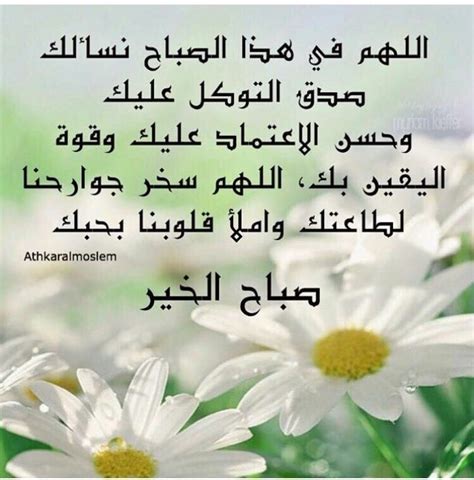 محمد الجنابي (@muhamma5392) on Twitter photo 