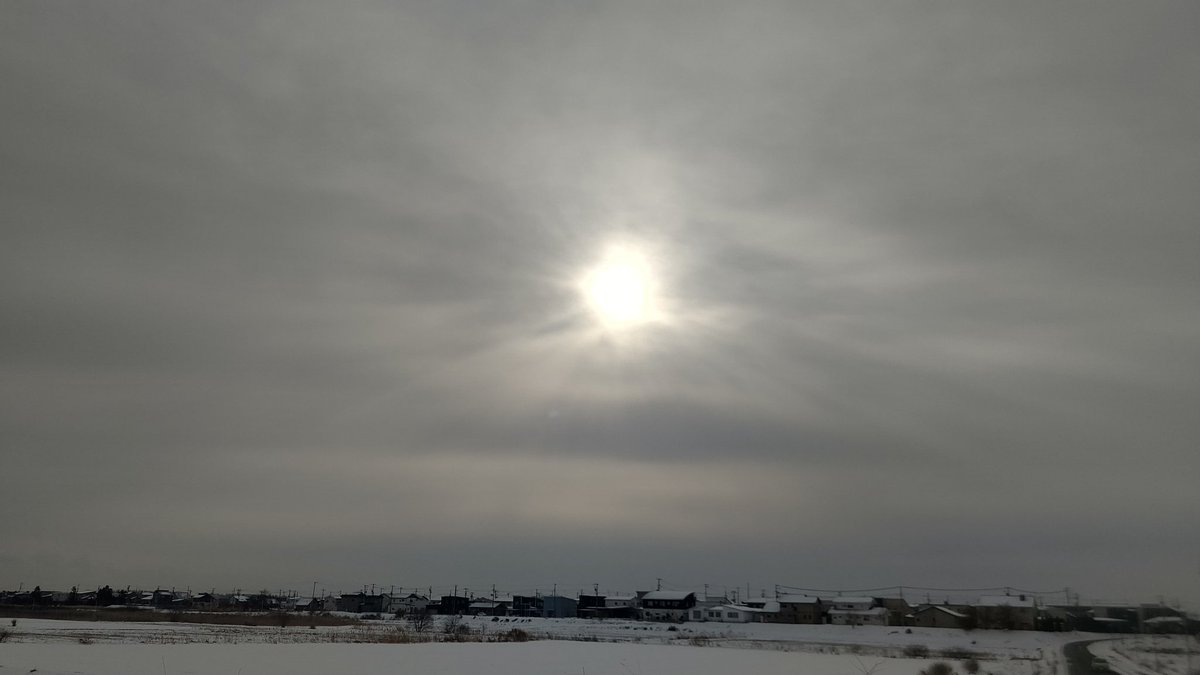 ゆきちゃん tweet media