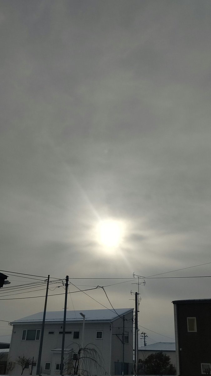 ゆきちゃん tweet media