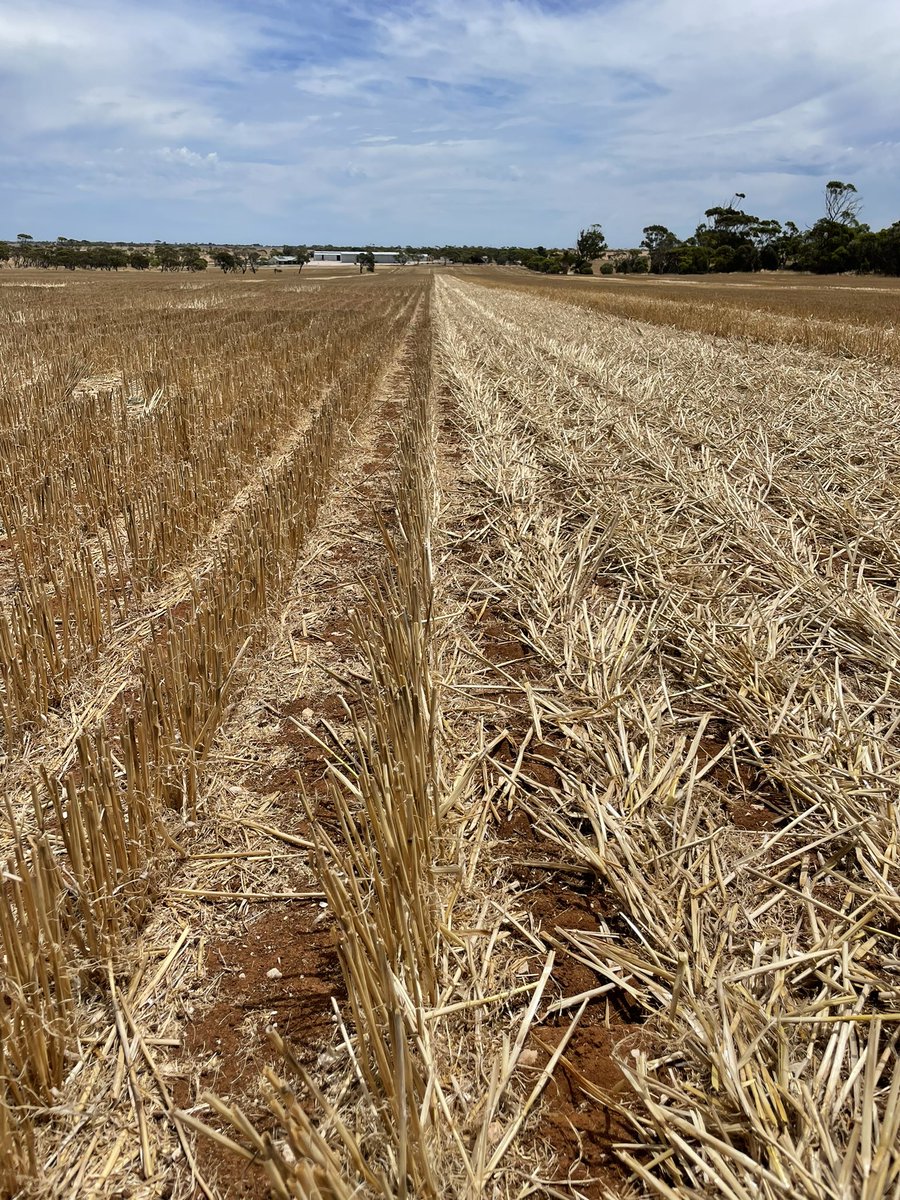 KINGSWAY tweet media