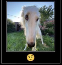 𝐉𝐎𝐉𝐎 (@returnedjoestar) on Twitter photo 