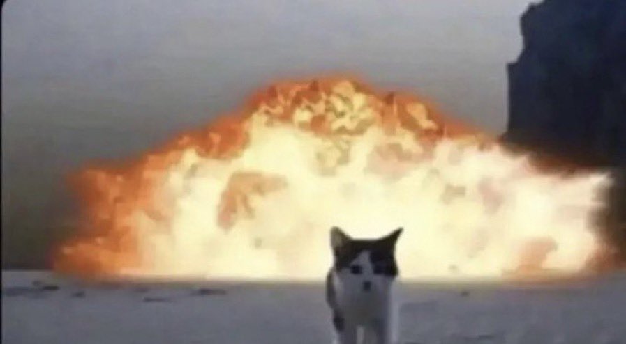 toxicmelonn's tweet photo. me after i tweet once every year https://t.co/T0wxFlZtlo