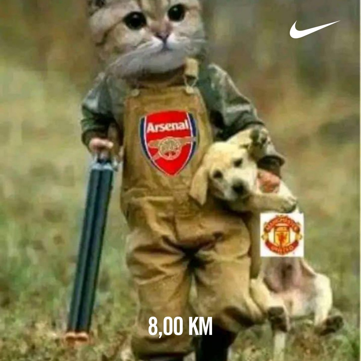 Mthokozisi Ntshingila tweet media