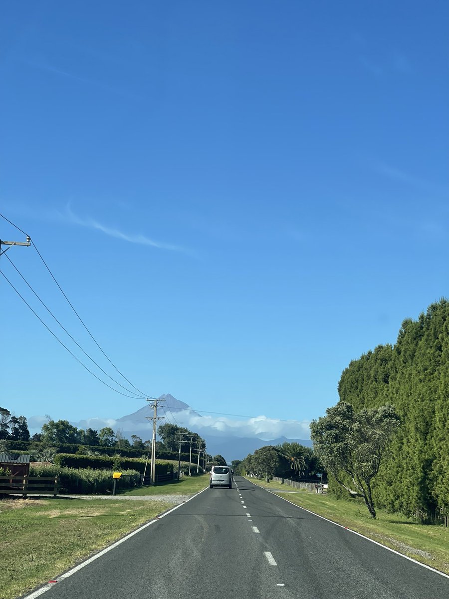 TwitNinja tweet media