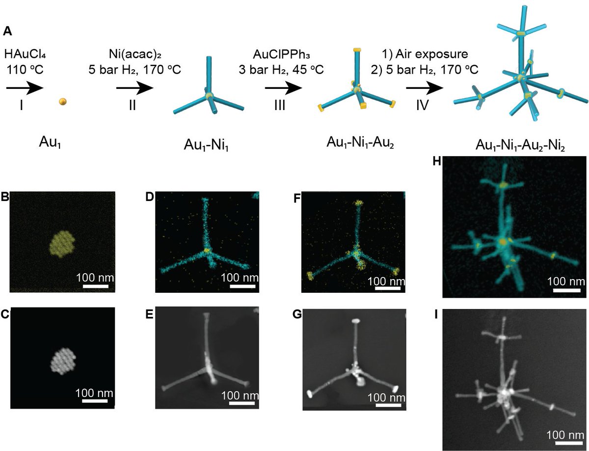 UNSWScience's tweet photo. 1/2: A novel method of ‘growing’ precisely ordered nanoscale structures has been developed by @UNSW researchers from our School of Chemistry. https://t.co/dUWV1y4X5Q