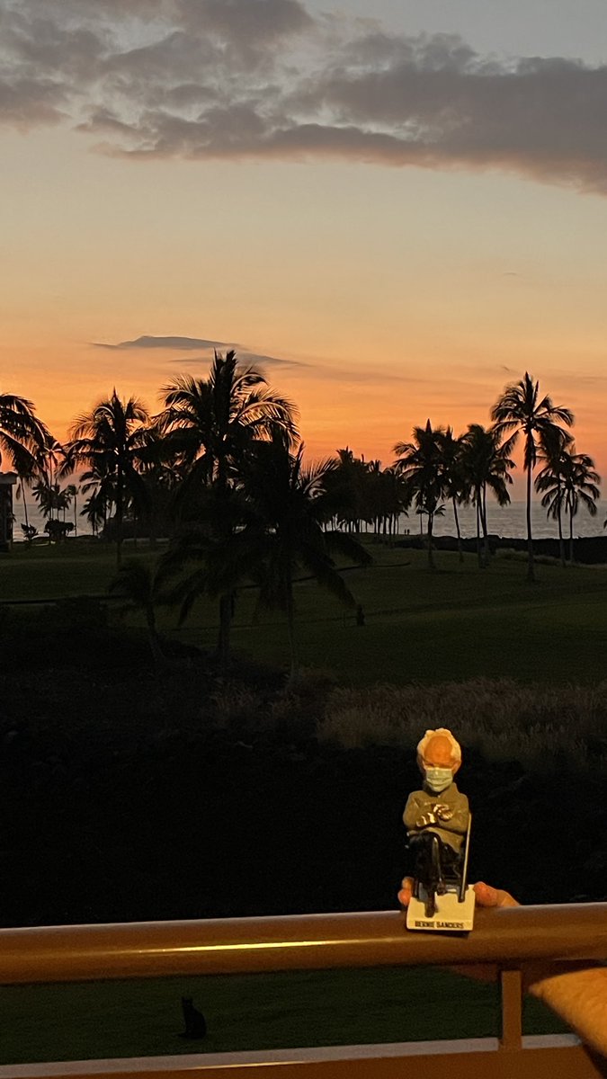 Jen Morrison tweet media