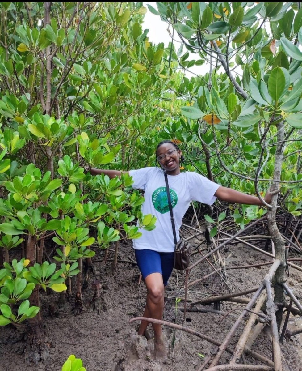 Mangroves may look unassuming, but they play a vital role in protecting our coastlines and improving water quality. #mangroves #coastalprotection'
#TunzaMikoko
@UNEP @BlueEarthOrgan1 @WetlandsInt