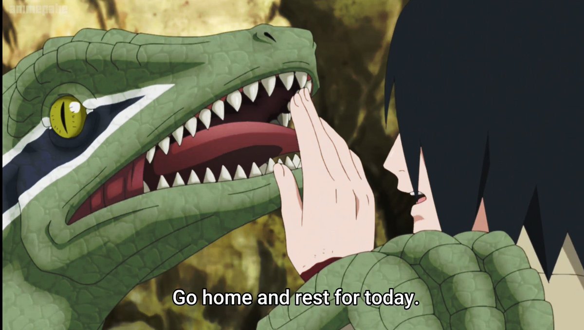 Sαѕυкє Uςнιнα ❂ tweet media