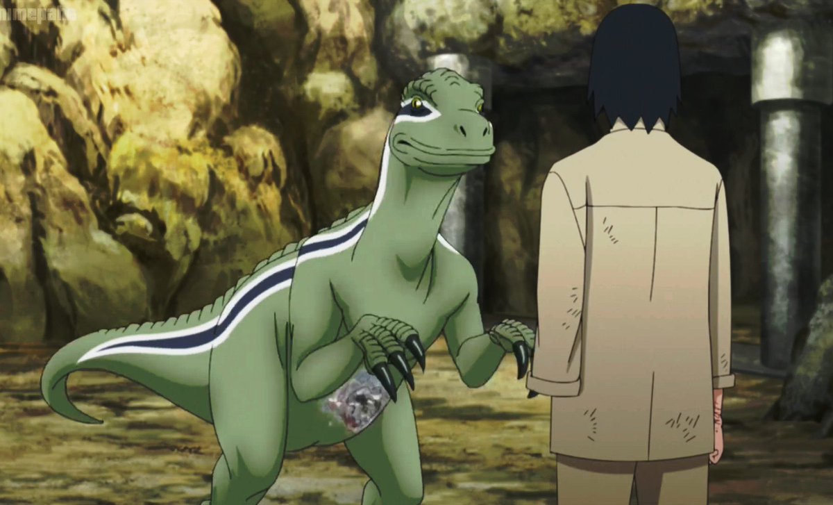 Sαѕυкє Uςнιнα ❂ tweet media