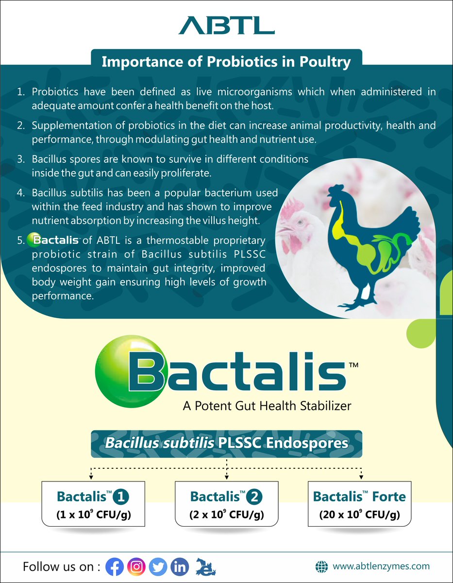 Introducing Bactalis - A Potent Gut Health Stabilizer; to balance intestinal microflora and improved body weight gain of your birds.
Click on the link for more details :- abtlenzymes.com/poultry-feed-p…

#ABTL #probiotics #PROBIOTICSTRAINS #bacillussubtilus #poultryfeed #poultry #gut