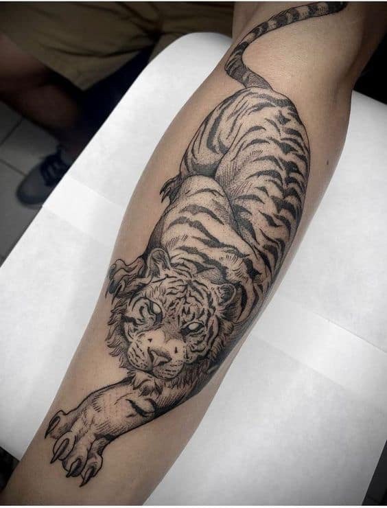TattooConnectAu's tweet photo. This design is usually seen as a small tiger tattoo, a more subtle tattoo, and a popular tattoo, but it can also be larger and more visible.
Read more
https://t.co/N5tazwY7ev
#Liontattoodesigns #Liontattooideas #Tattooartists #LowerArm #Inked #Tattooideas #Tattoo https://t.co/4y2P19JqoK