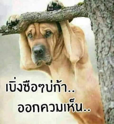 InMod8's tweet photo. @Intimate692 https://t.co/pC7lrxhFAT