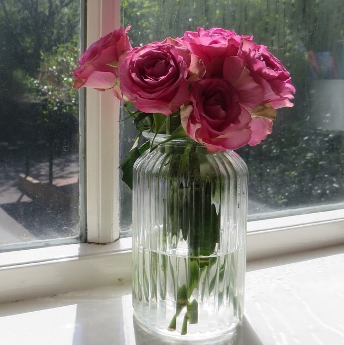 احسان (@1ehsan33) on Twitter photo 