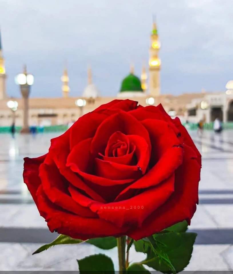 • *( إضرب بعصاك البحر )*
• *( إصنع الفلك )*
• *(أدخل يدك في جيبك)*
حتى معجزات اﻷنبياء قرنها ﷲ عزّوجل بالعمل 
فلا تنتظر أي نجاح بدون عمل ..
صباحكم خيرات ورضا ومسرات 
وبشارات تغمر قلوبكم بالسعاده 
صباحكم امنيات محققه ودعوات مستجابه